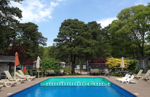 Bass River Cabin | LOCATION! Cabin sleeps3, POOL, 1 mile to OCEAN, Kitchen/Grill, Pet ok, Parking