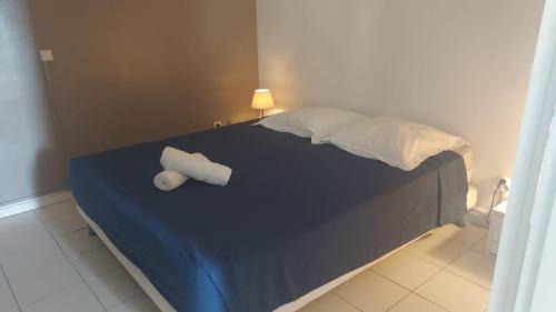 Dampierre House | location dampierre gosier