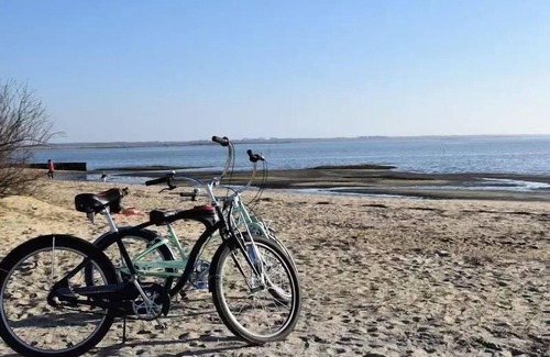 Audenge House | Lodge on stilts 27m² 4 persons