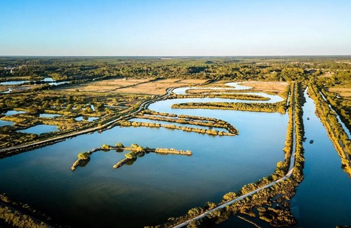 Audenge House | Lodge on stilts 27m² 4 persons