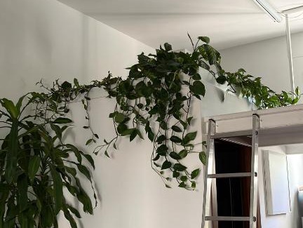 Calvairate Apartment | LOFT CON TERRAZZO