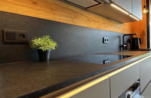 Strzeleczki Apartment | Loft N 39 - ekskluzywny apartament pod Zamkiem w Mosznej