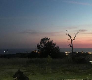 Civitavecchia House | Loft relax in collina
