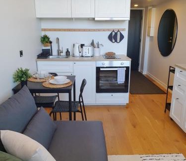 Old Town Apartment | Loft Style Studio Apartment- Free Parking- Free Gym- Keyless Access