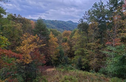 Ferguson Cabin | Log Cabin, Great views, Hot Tub, Large Deck, Privacy, Horse and Pet-Friendly