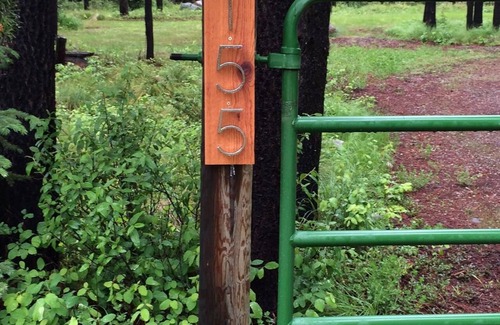 Whitefish Cabin | Log Cabin in the Woods Where the Wild Animals Roam
