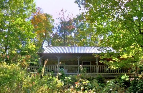 Canton Cabin | Log Home near Beautiful Lake Logan