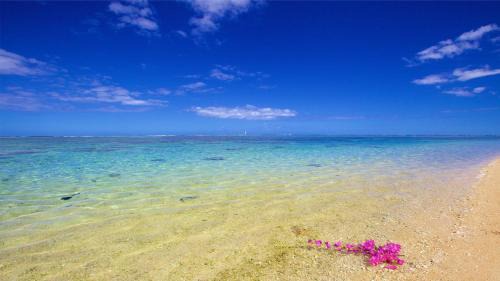 La Saline Les Bains Apartment | Logement bord de mer