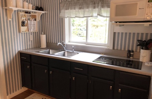 Lake Ann Cottage | Lone Pine Cottage 1 Bedroom Lakefront on Bryan Lake