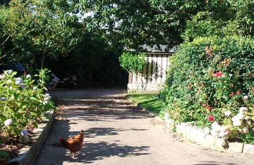 Sausseuzemare-en-Caux Cottage | Longère en Pays de Caux the discreet charm of Normandy