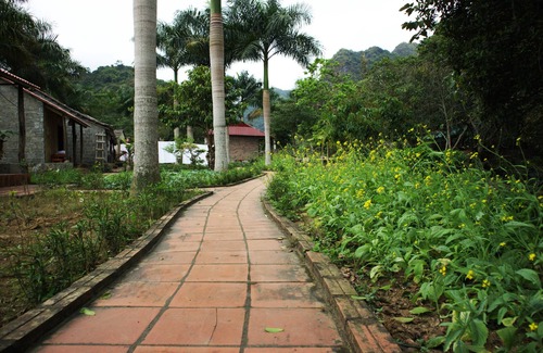 Cat Hai Hotel | Long Phuong Homestay