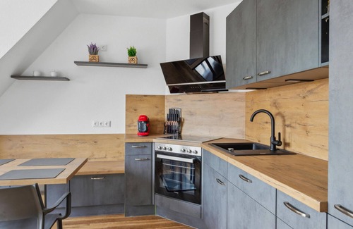 Benneckenstein Apartment | Look forward to a wonderful break in this luxurious vacation apartment close to lots of activities.