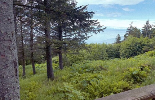 Anchor Point Cabin | Lost Anchor Cabins - Augustine Cabin