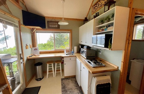 Anchor Point Cabin | Lost Anchor Cabins - Iliamna Cabin