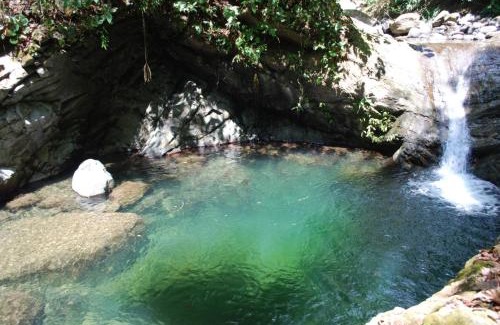 Tres Rios Hotel | Lost Pools Bungalow at Sloth