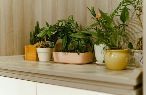 District 4 Apartment | Louisa The Gold View Apartment