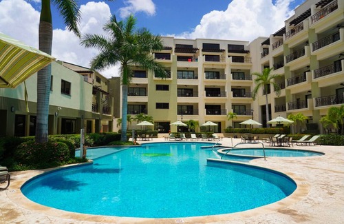 Washington Condo | Lovely 1BR @PalmAruba Condos w/Great Location