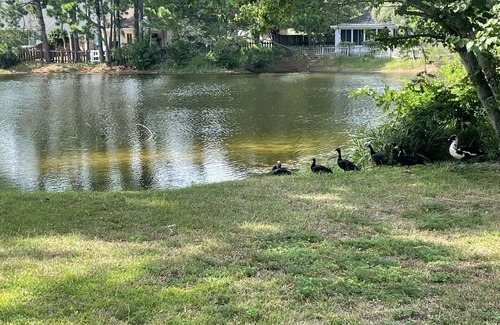 Gulf Breeze House | Lovely 2 bedroom on lake between 2 beaches!