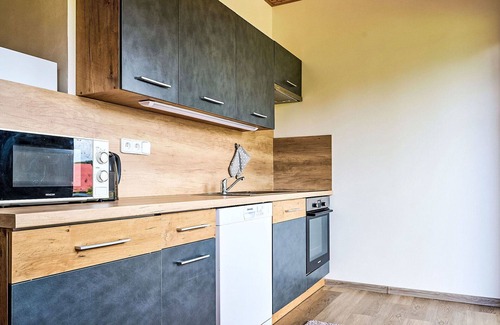 Nova Ves nad Nisou Apartment | Lovely apartment for 9 people with WIFI, TV and terrace