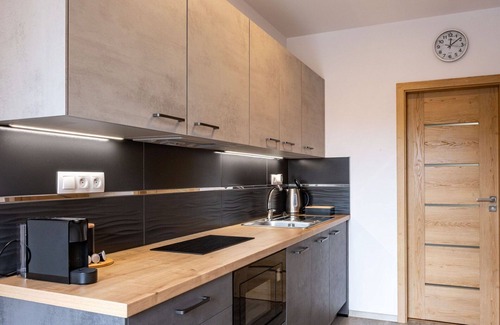 Jachymov Apartment | Lovely apartment for 2 guests with WIFI and TV