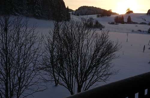 Chaux-Neuve Ski Chalet | Lovely cottage for nature lovers.