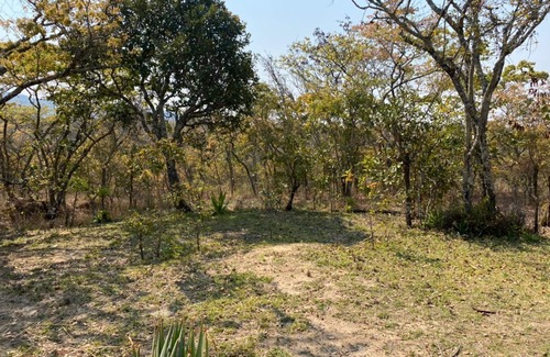 Nyanga Villa | Lovely house on 4 hectares in John Galt Village. - 2011