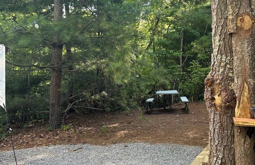 Waynesville RV Rental | Lover’s Lookout is a treetop retreat /perfect for a romantic escape.
