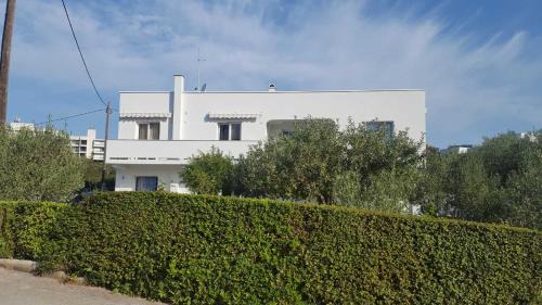Suha Punta Apartment | Lovorka Apartmani