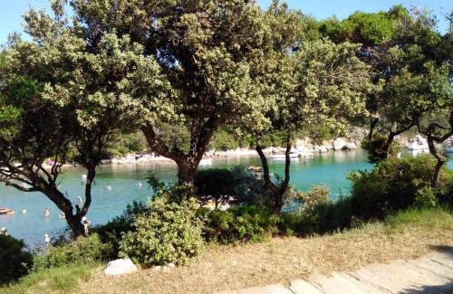 Suha Punta Apartment | Lovorka Apartmani