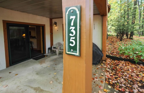 Boyne Falls Condo | Lower Disciples Unit | Walkable to Boyneland Chairlift | Sleeps 4 Guests!