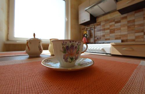 Siauliai City Center Apartment | Lukšio Apartment