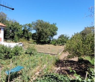 San Lazzaro House | Luna D'Agerola