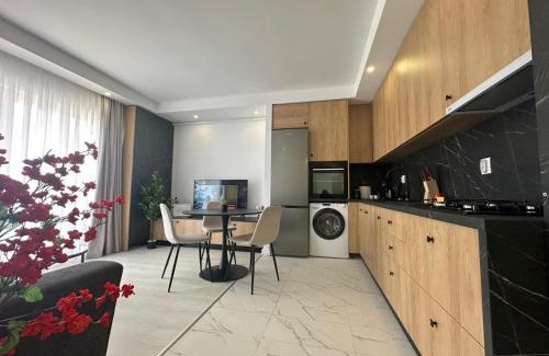 Stefanestii de Jos Apartment | Lunara Studio #freeparking #pool