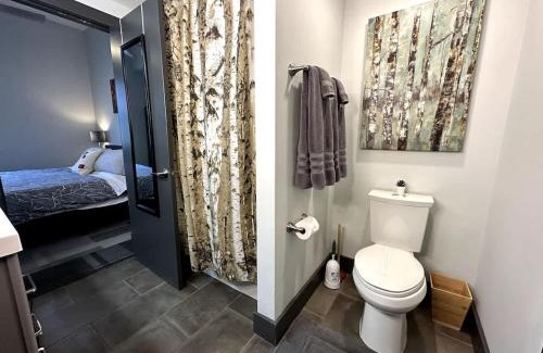Roanoke Apartment | Luxe rooftop retreat in downtown core