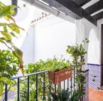 Puerto Banus Apartment | luxurious frontline penthouse in puerto banus