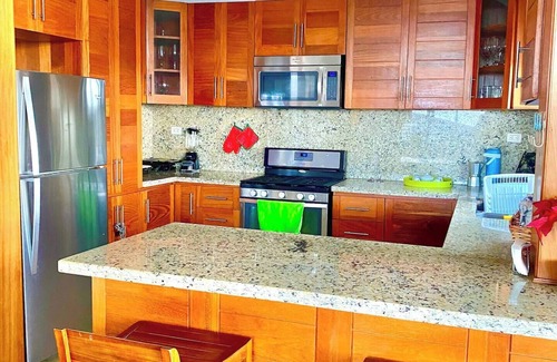Las Terrenas Apartment | Luxurious Penthouse in Terrenas, Coson