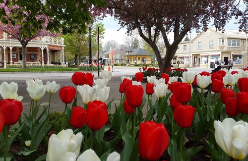 Old Town Historic District Cottage | Luxury 1835 Cottage in NOTL. Private parking. Right in centre near Shaw Theatre.