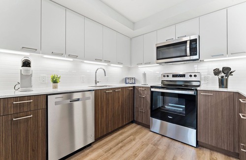 Allston Apartment | Luxury 2bd/2ba near Harvard 8329