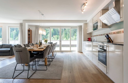 Viehhofen Apartment | Luxury apartment near slopes with large terrace