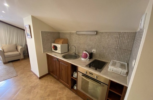 Shiligarnika Hotel | Luxury Apartments St Ivan Rilski SPA 4