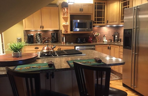 Central Hyde Park Cottage | LUXURY CarriageHouse 2 BR-2 BA Apt,Garage or Off-StreetParking,Levl 2 EV Charger