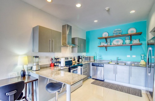Barrio Santa Lucia Apartment | Luxury condo with balcony, ocean & jungle views - open layout