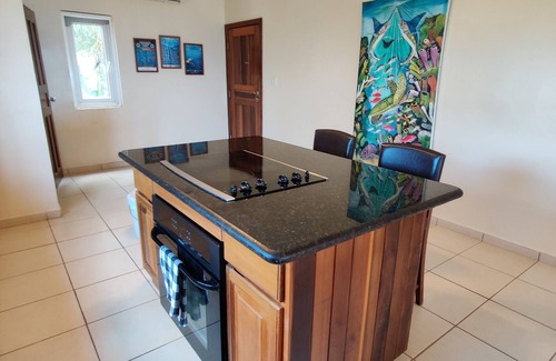 West End Condo | Luxury Penthouse with Stunning Ocean Views