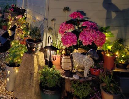 Woolhamton Apartment | Luxury Shepherd's Hut - The Hyde