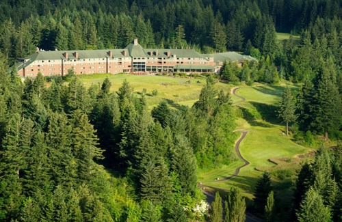 Stevenson Cabin | Luxury Tree House into the Heart of Washington