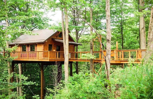Millersburg Cabin | Luxury Treehouse Getaway with Treetop Views