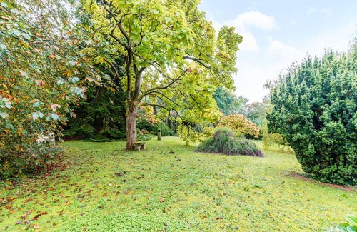 Metz Apartment | Mélodie Mosellane - Charmant appt avec jardin