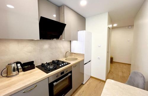 Panevezys Apartment | M&M Apartment IV SELF CHECK-IN