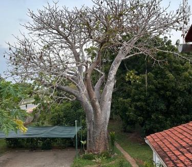 Kilifi Villa | Madarisha House