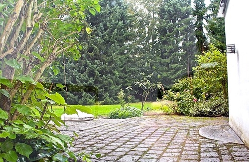 Wentorf bei Hamburg Apartment | Magical apartment in an old villa with free WiFi